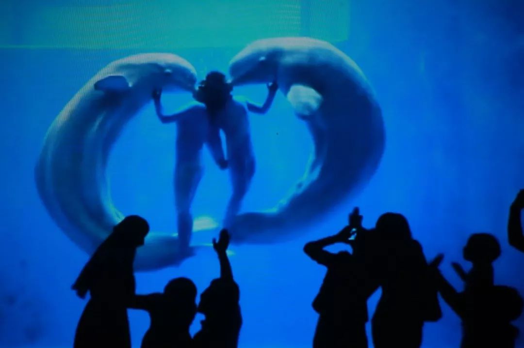 热气球嘉年华景区,音乐节淮安