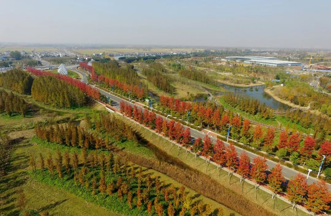 热气球嘉年华景区,音乐节淮安