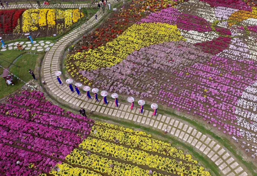 热气球嘉年华景区,音乐节淮安