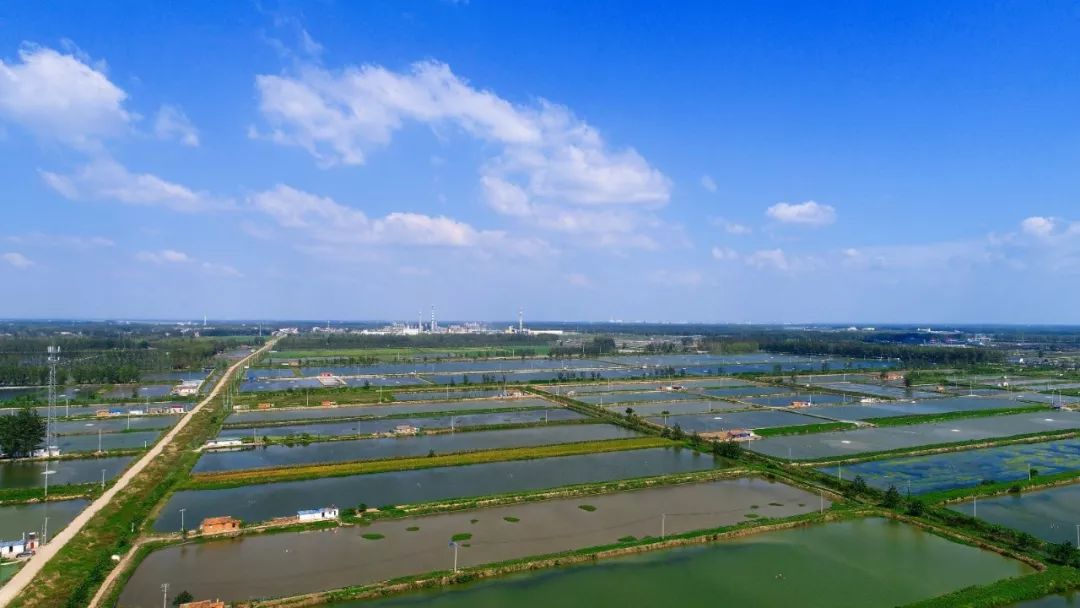 热气球嘉年华景区,音乐节淮安