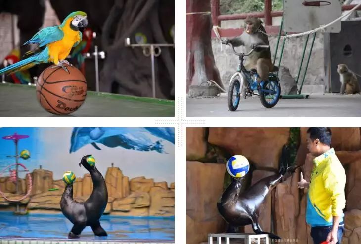 酒店团购揭阳望天湖假日酒店,揭阳望天湖旅游度假区住宿