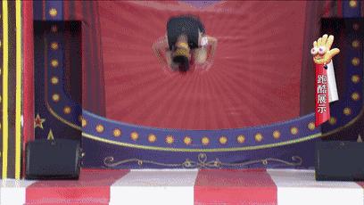 站上终点高台,你会说什么?