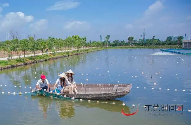 十一旅行去哪里最好,十一去哪儿玩有什么好的攻略