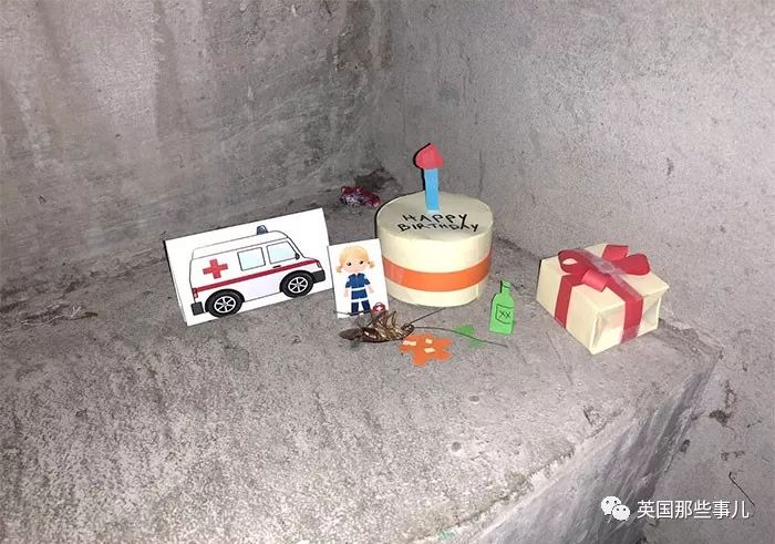 客厅发现一只死蟑螂,宿舍发现一只巨型蟑螂