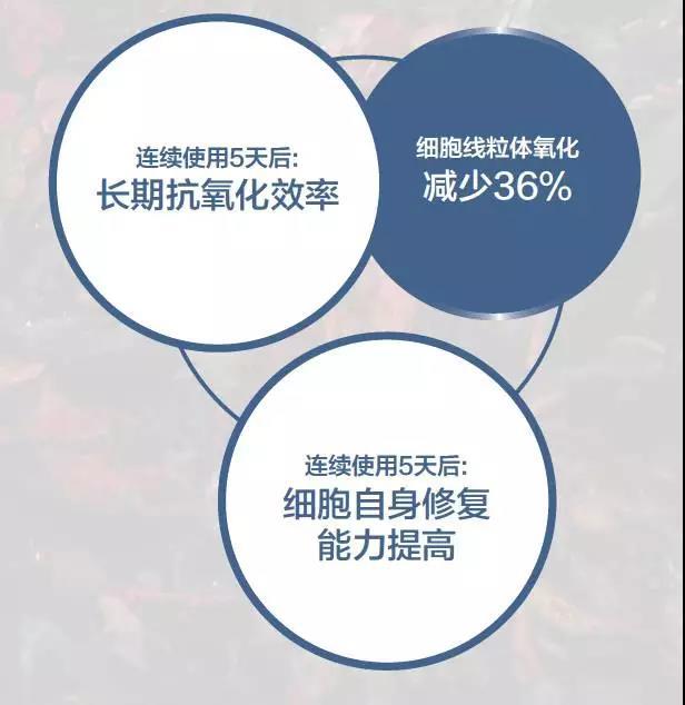 秦岚素裸妆,秦岚的护肤