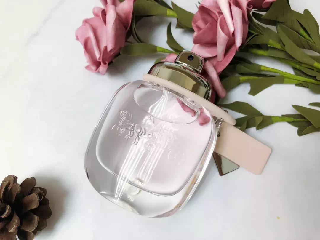 新加坡这家店怎么可以这样对待会员？宠炸天