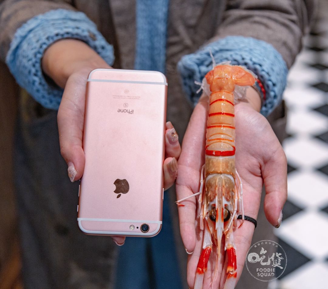 曝光盛特区这家餐厅！一周吃3次不嫌多，日料控已经刹不住脚