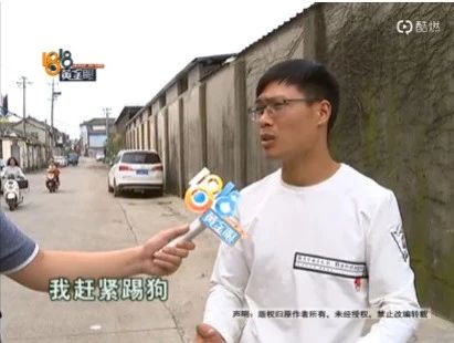 6岁小孩被狗咬13天后狂犬病发作,6岁小孩被狗咬了打狂犬疫苗