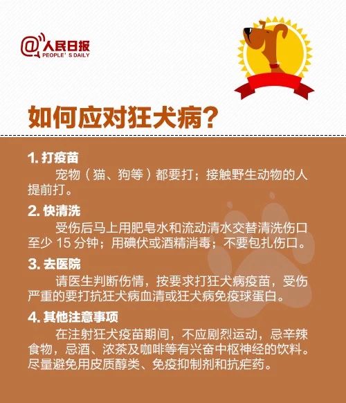 6岁小孩被狗咬13天后狂犬病发作,6岁小孩被狗咬了打狂犬疫苗