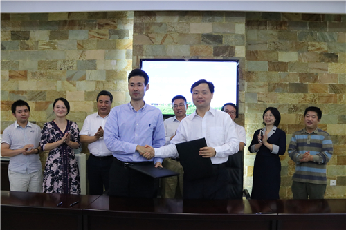 中新合作协议,中新软件公司