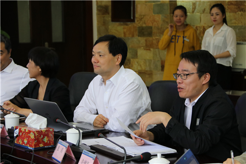 中新合作协议,中新软件公司