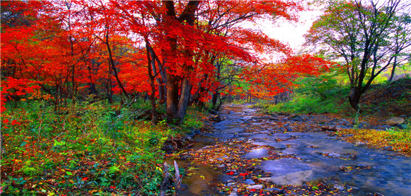 十大最美自驾游线路图,最美6条自驾游线路