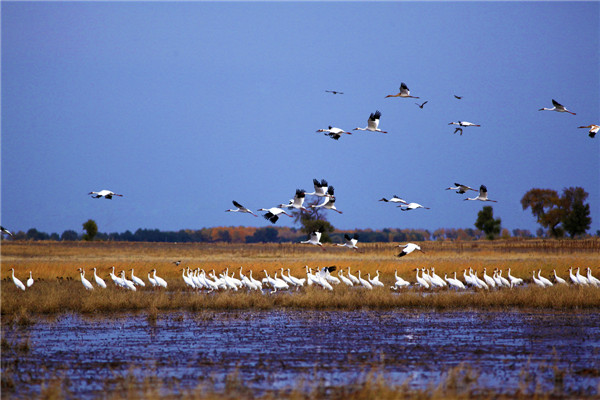 十大最美自驾游线路图,最美6条自驾游线路