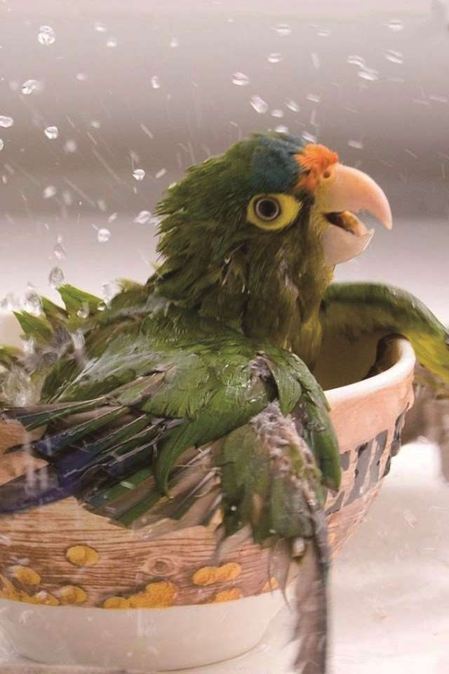 华晨宇hereweare完整版,华晨宇tobefree伴奏合唱