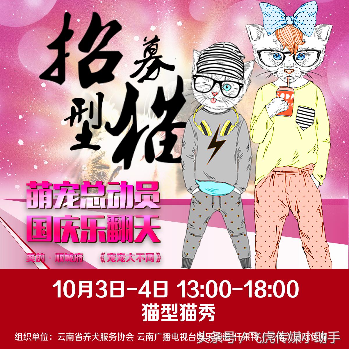 萌宠总动员第一季全集免费,萌宠总动员周末嗨翻天