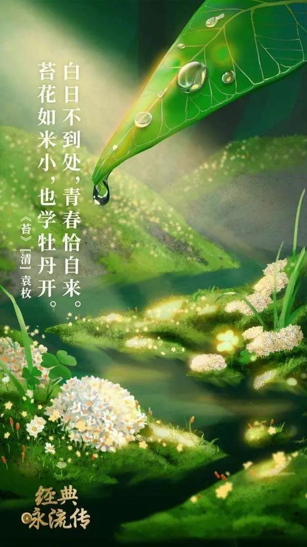 央视诗词歌曲,央视把56首诗词做成歌曲