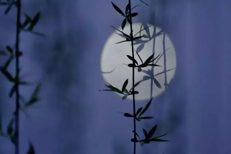 古人睡眠三宝,古人睡眠有三宝