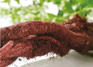 7秒卖1瓶！这款日本爆火单品，3分钟让大干皮变身“水宝宝”！