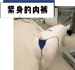 男性裸睡应不应该穿内裤,裸睡到底是穿内裤不