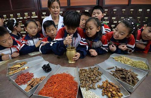 学中医的小学生,小学生学中医新政策