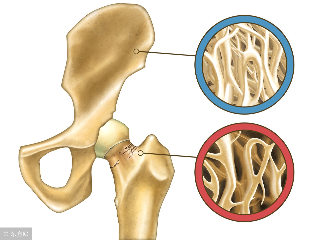 不要抱有侥幸心理而害了自己,不要抱有侥幸心理盲目乐观