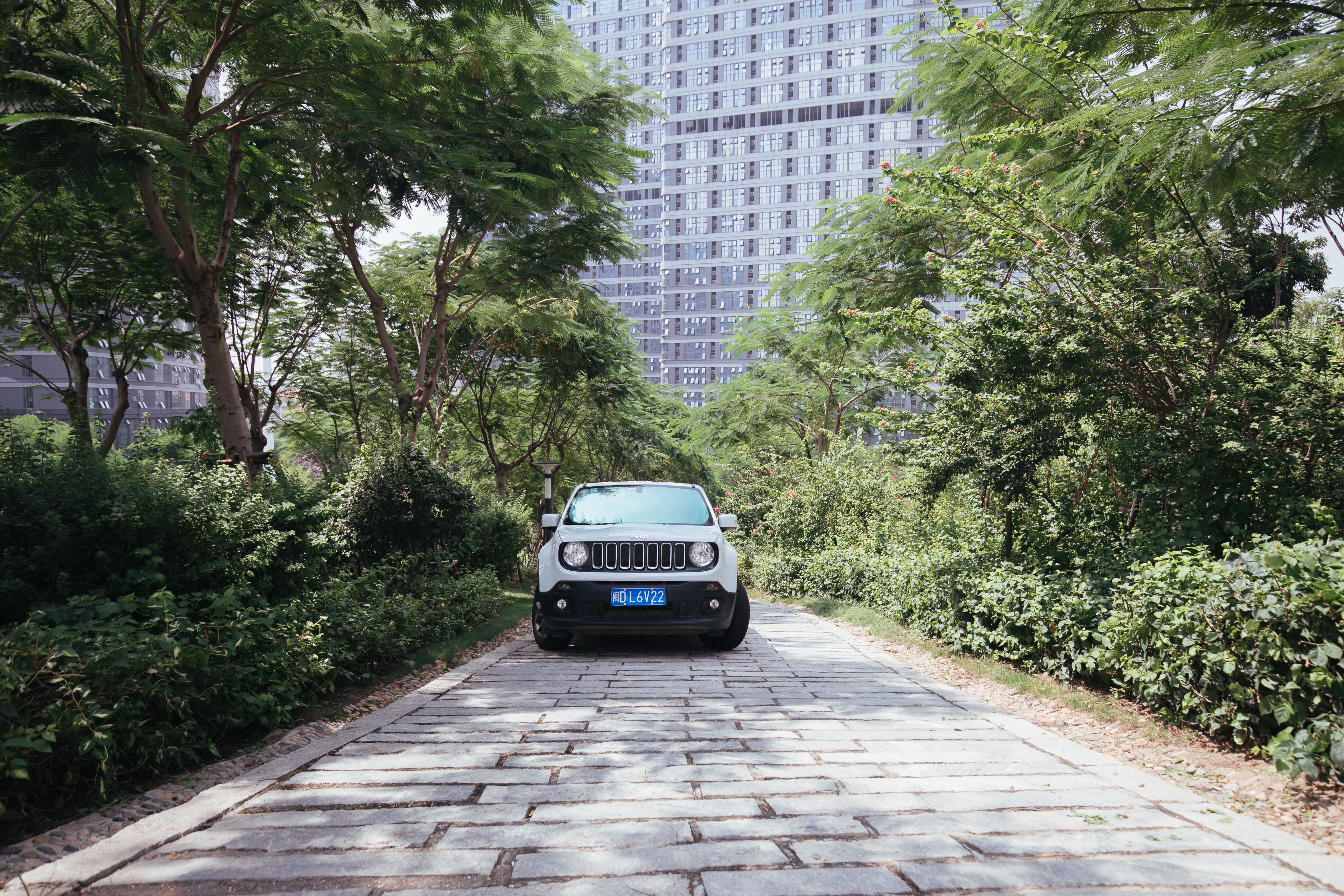 厦门小众网红打卡点,厦门小众打卡点免费