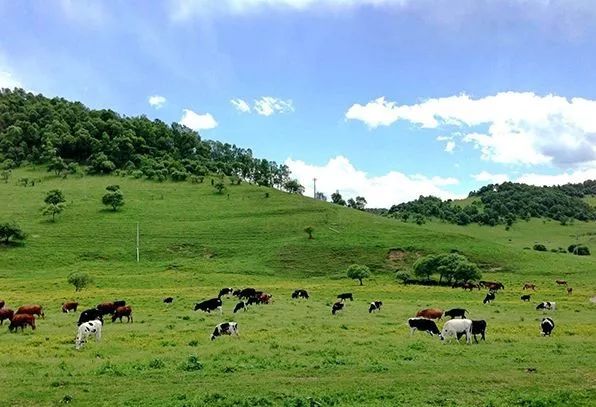 陕西十一假期旅游推荐,十一陕西旅游推荐