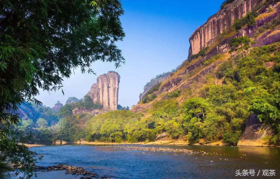 药企来做茶，没那么简答？