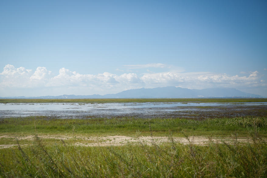 国产2.0t+8at四驱suv,2.0t动力最强的四驱轿车