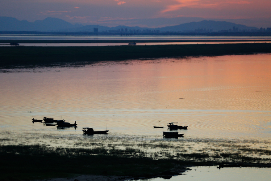 国产2.0t+8at四驱suv,2.0t动力最强的四驱轿车