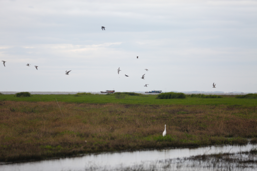 国产2.0t+8at四驱suv,2.0t动力最强的四驱轿车