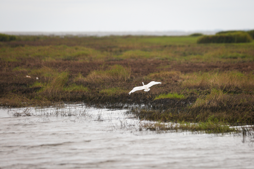 国产2.0t+8at四驱suv,2.0t动力最强的四驱轿车