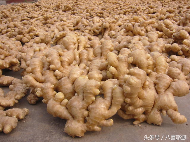 潍坊特产有哪些可以发快递,山东潍坊美食特产有哪些