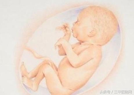 孕妇吃鱼真的会让宝宝变聪明吗,孕期吃鱼孩子真的会变聪明吗