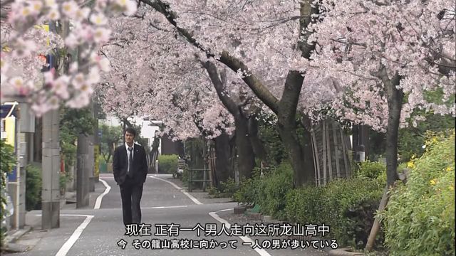 日剧龙樱,励志视频龙樱