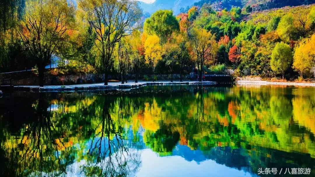 山东今年国庆旅游政策,国庆节黄金大优惠活动