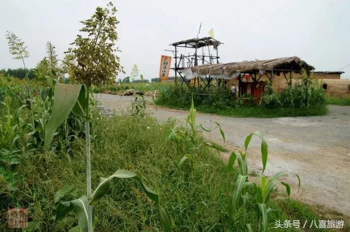 山东今年国庆旅游政策,国庆节黄金大优惠活动