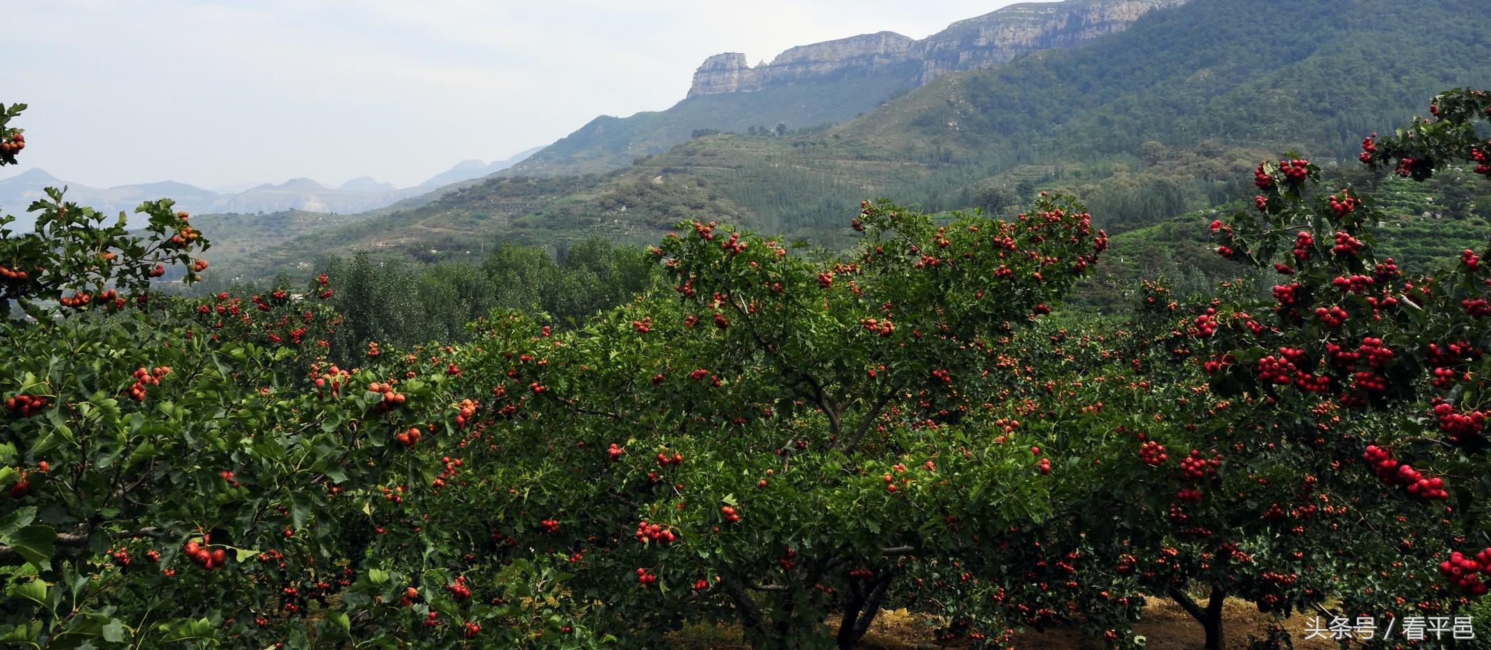国庆期间的平邑蒙山,国庆去哪玩兰山