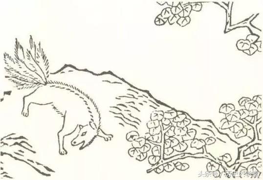 九尾狐是祥瑞还是妖兽,真正的九尾狐可不可怕