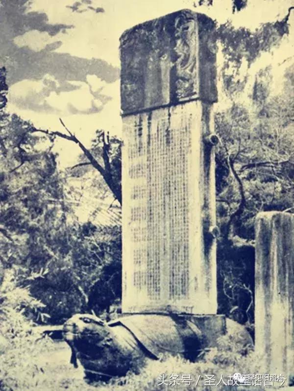 孔府孔林孔庙的高清图片,孔府孔庙孔林经典高清照片