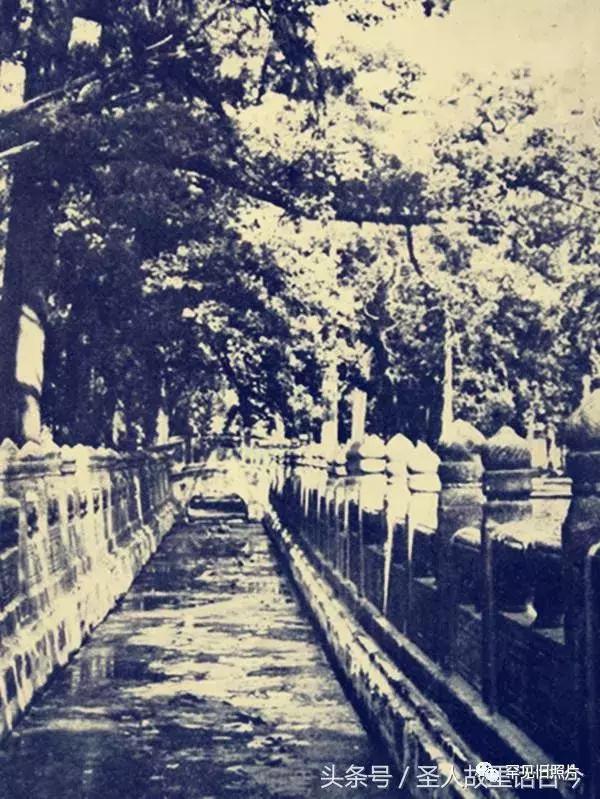 孔府孔林孔庙的高清图片,孔府孔庙孔林经典高清照片