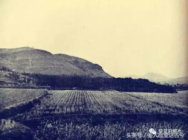 孔府孔林孔庙的高清图片,孔府孔庙孔林经典高清照片