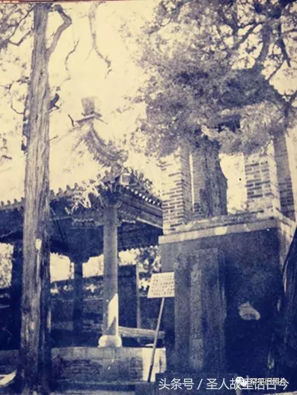 孔府孔林孔庙的高清图片,孔府孔庙孔林经典高清照片