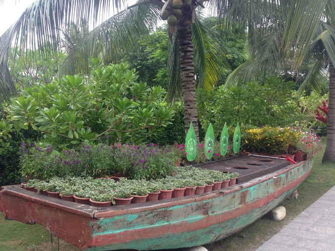三亚蜈支洲岛的美丽的风景,海南三亚蜈支洲岛好玩不