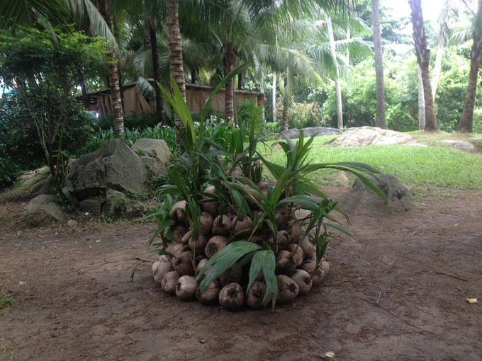 三亚蜈支洲岛的美丽的风景,海南三亚蜈支洲岛好玩不