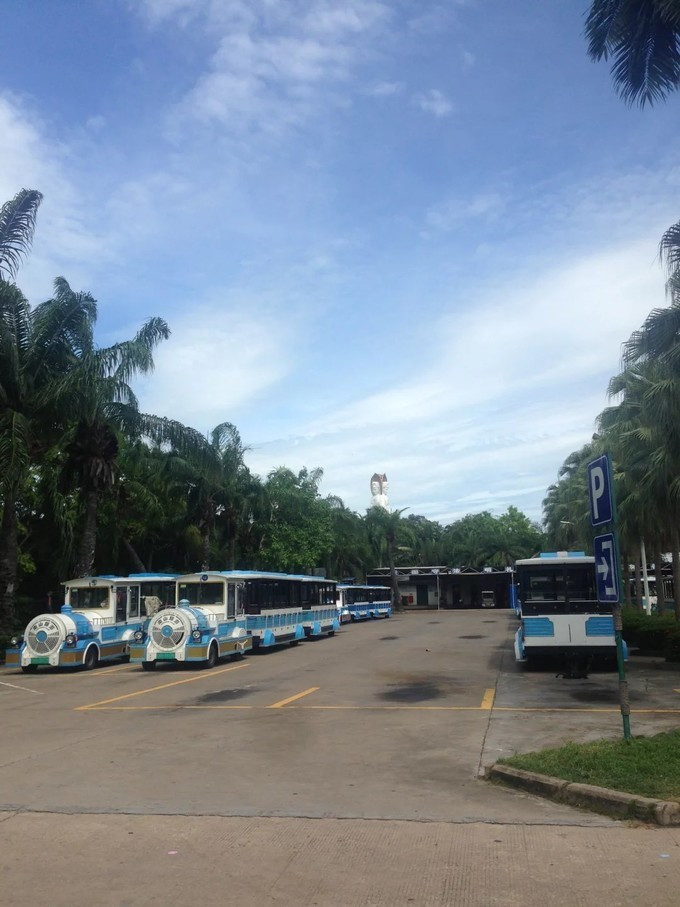 三亚蜈支洲岛的美丽的风景,海南三亚蜈支洲岛好玩不