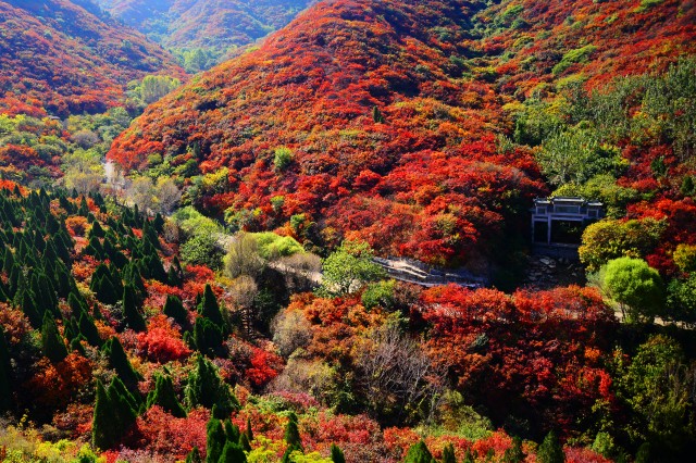 旅游景区礼献国庆70周年,五大系列活动