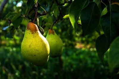 旅游景区礼献国庆70周年,五大系列活动