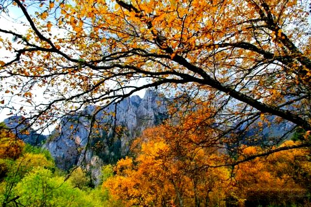 甘南秋天,甘南州的秋天