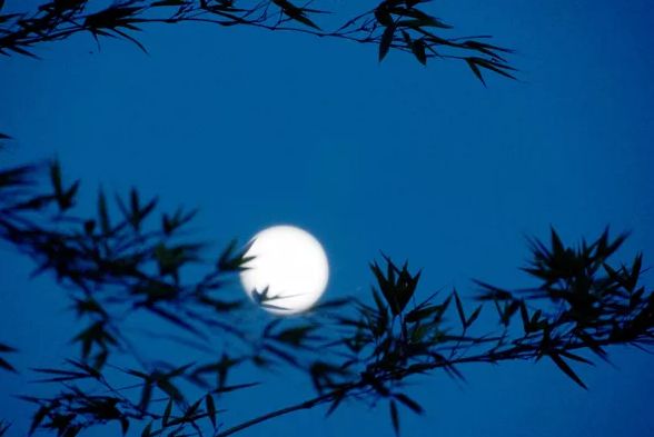 美文美图,美文美图秀